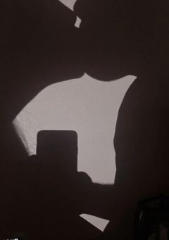 åã«åããã¯ãã ã£ãããããªã