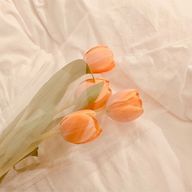 분유 🍼〈  milk 〉低浮上さんのアイコン画像