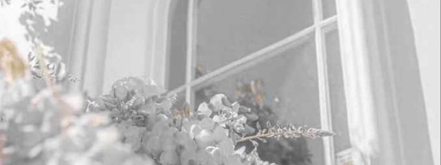 るか໒꒱·̩͙さんの壁紙画像