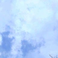 🎲🐇あおな🤪🥂さんのアイコン画像