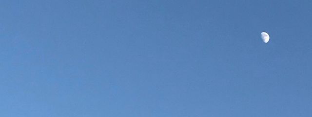 みう@天才グミさんの壁紙画像