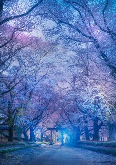 元忍びのカタギは様々なことに巻き込まれる