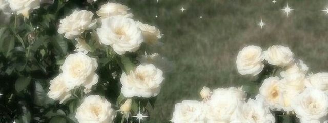 𝓡𝒖𝓷𝐚@フォロバ絶対さんの壁紙画像