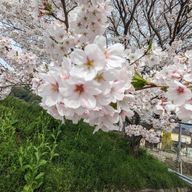 貴方の虜さんのアイコン画像