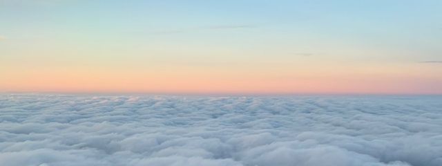 チェフシアさんの壁紙画像