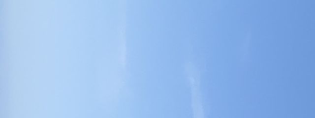あおい🐾　#低浮上さんの壁紙画像