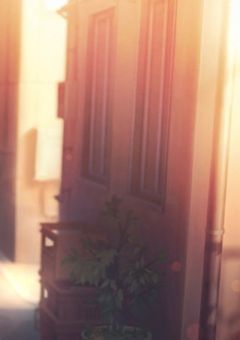 ♯ —— 拝 啓 、 大 好 き な 貴 方 へ