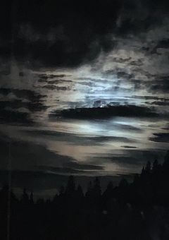 へららぎくん？！愛が重いです…！