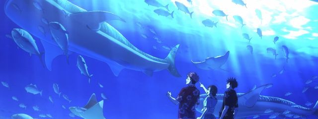 ໒꒱さんの壁紙画像