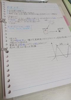 ⋆⸜ 𝕊𝕥𝕦𝕕𝕪 𝕣𝕠𝕠𝕞 ⸝⋆