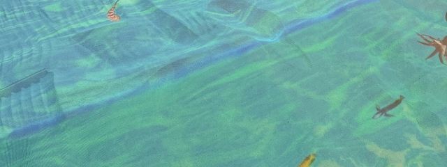 蒼さんの壁紙画像