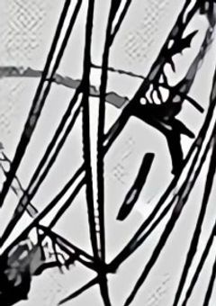 あなたを信じては駄目みたい