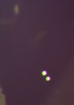 プロセカ リアル人狼ゲーム