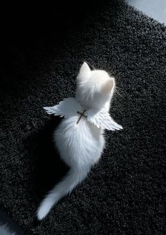それが、愛というものだ。