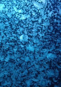 お友達になって…