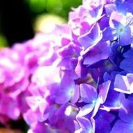 ニカさんのアイコン画像