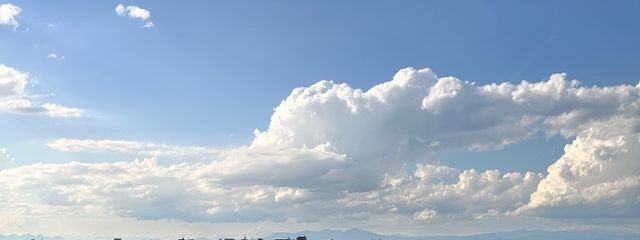 ちくりさんの壁紙画像