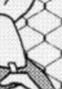 『恋』は罪ですか？