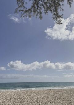 たむ恋 ～　💜side　～