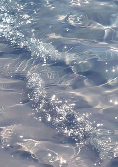 仲が良いのか悪いのか