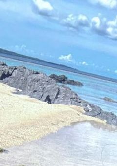 手違いで男子校に転校したら溺愛されました