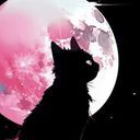 黒猫