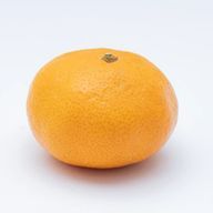 お蜜柑 @更新しなくなったら成人するまで活動休止さんのアイコン画像