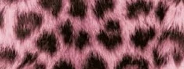 レイナさんの壁紙画像