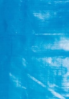 「良いこと悪いこと」のみんなと色々してみた