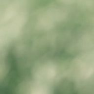 ほくろﾁｬﾝさんのアイコン画像