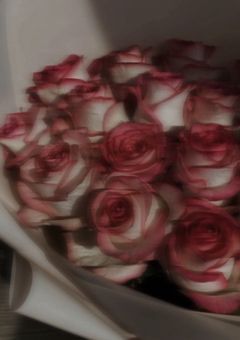 l r n 『  溺 愛 彼 氏 の 作 り 方  。 』