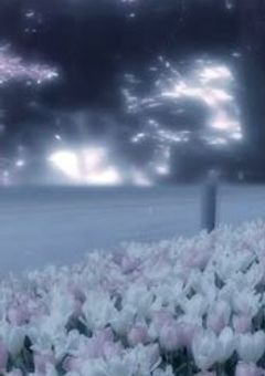 『 あ の 幸 せ を も う 一 度 ＿ 。 』