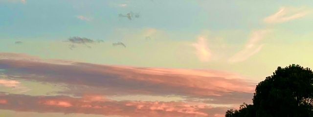 りんなさんの壁紙画像