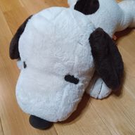 りる_Liruさんのアイコン画像