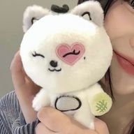 風さんのアイコン画像