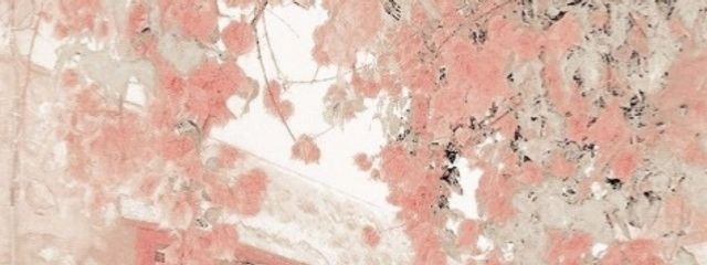 みこるᰔᩚ @転生さんの壁紙画像