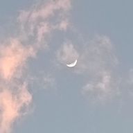 Flamme.さんのアイコン画像