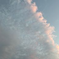 抹茶好きフラペチーノさんのアイコン画像