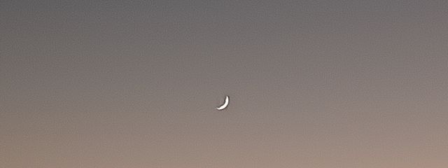 シャボン玉🍑🪄さんの壁紙画像