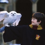 Okiさんのアイコン画像