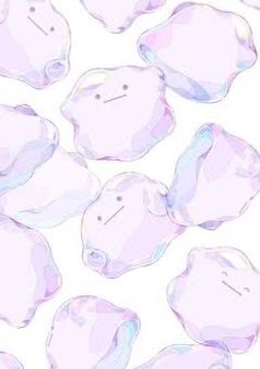 わたしの出会い