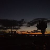 ののさんのアイコン画像