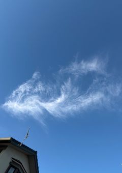 とりあえずやってみる