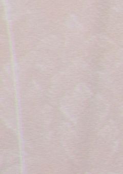 え？こっち副業ですけど??