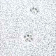 ぴょな@執筆中さんのアイコン画像