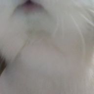 snowropさんのアイコン画像