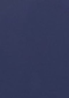 イラスト部屋?(模写、上手くないよ〜)