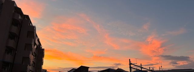 rumina@かふんしょーどっかいけいけせーじんさんの壁紙画像