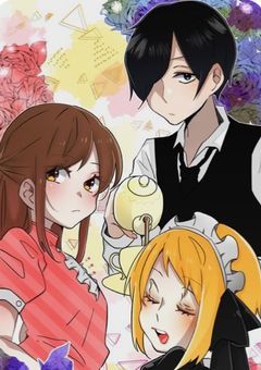 お嬢様，ハイキューの世界に来たようで