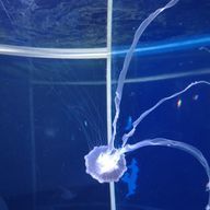 きさきさんのアイコン画像